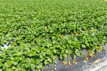 Similar image 13224870