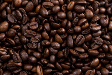 Similar image 13225879