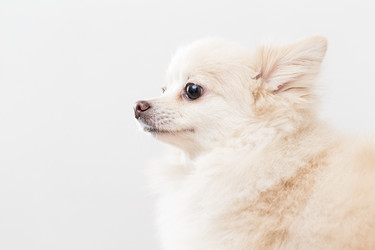 Similar image 13226961