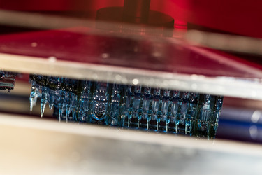 Similar image 13227775