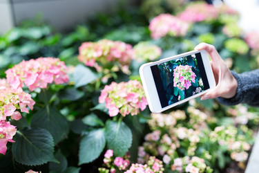 Similar image 13227932