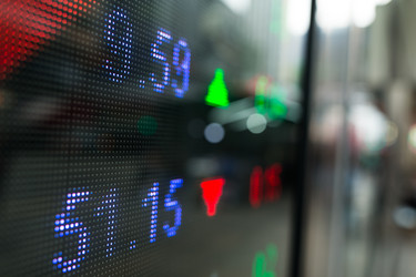 Similar image 13228029