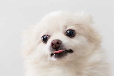 Similar image 13224772