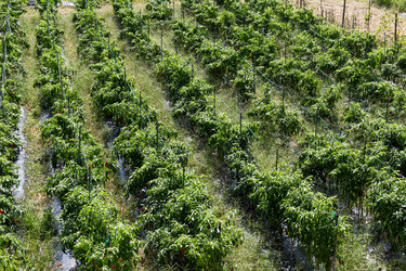 Similar image 13226892