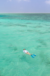 Similar image 13215039