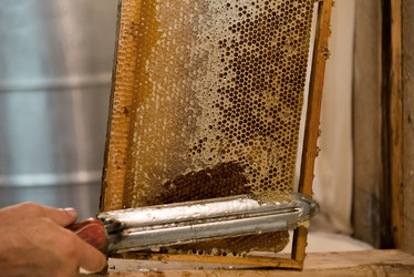 Similar image 13195545