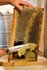 Similar image 13195547