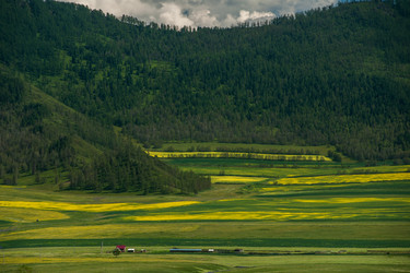 Similar image 13213694