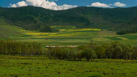 Similar image 13213237