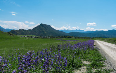 Similar image 13213697