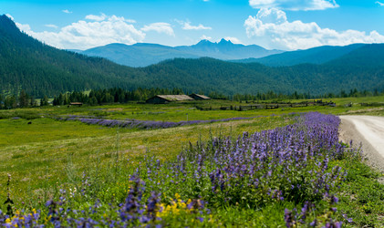 Similar image 13213261