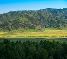 Similar image 13213262