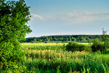 Similar image 13224341