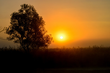 Similar image 13224342