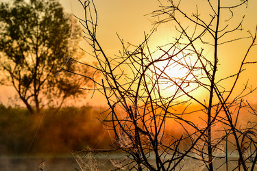 Similar image 13212635