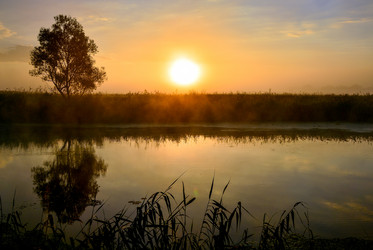 Similar image 13224343