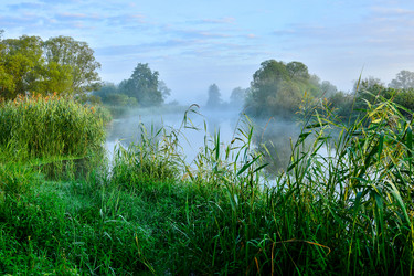 Similar image 13224344