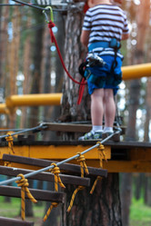 Similar image 13200300