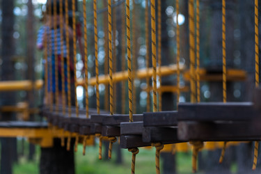 Similar image 13199967