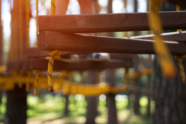 Similar image 13199527