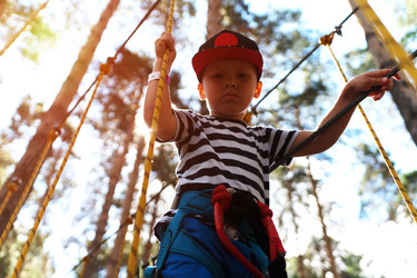 Similar image 13199528