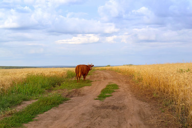 Similar image 13199193