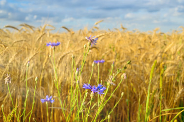 Similar image 13199195