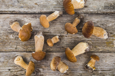 Similar image 13193730