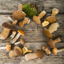 Similar image 13193731