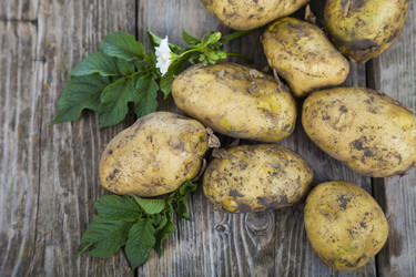 Similar image 13193863