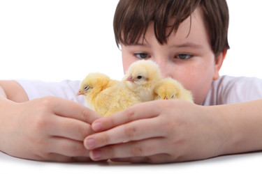 Similar image 13193957