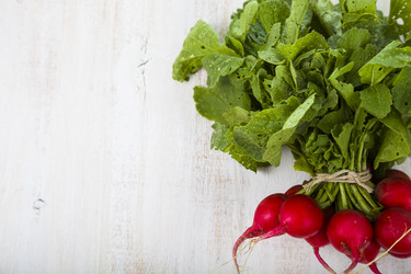 Similar image 13193959