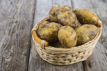 Similar image 13194033