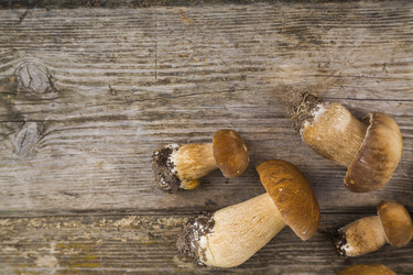 Similar image 13194049