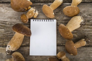 Similar image 13194050