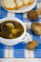 Similar image 13194055