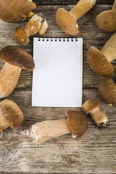 Similar image 13193811