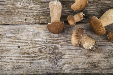 Similar image 13193978