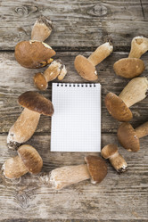 Similar image 13194037