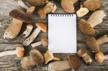 Similar image 13194038