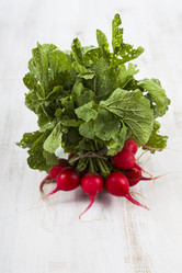 Similar image 13193769