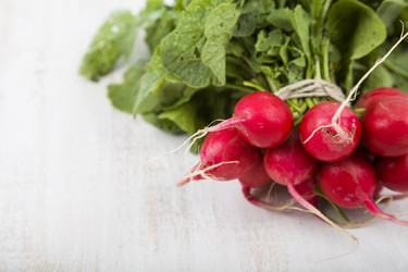 Similar image 13193784