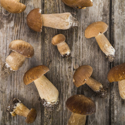 Similar image 13193816