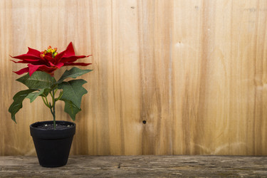 Similar image 13193881