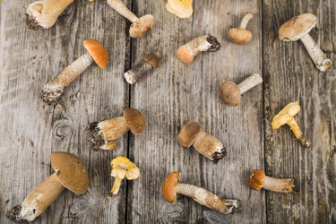 Similar image 13193987