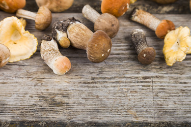 Similar image 13194065