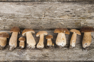 Similar image 13194070