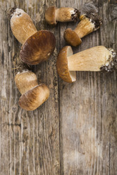 Similar image 13194090