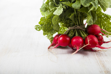 Similar image 13194093