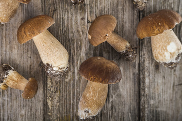 Similar image 13197711